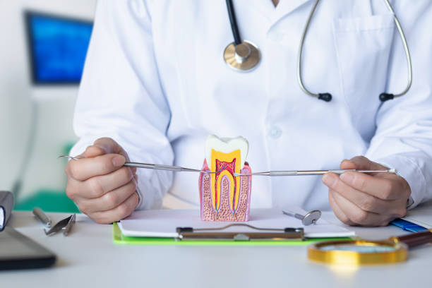 Best Emergency Dental Care for Abscessed Tooth in Villanova, PA